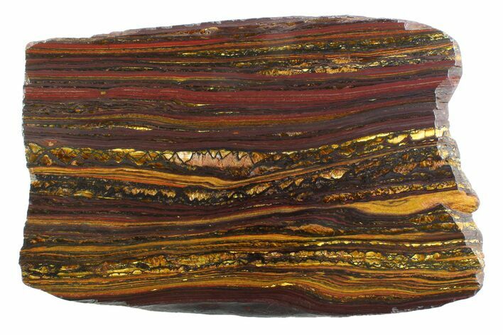 Polished Tiger Iron Stromatolite Slab - Billion Years #354947